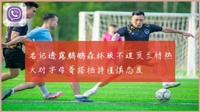 名记透露鹈鹕森林狼不追莫兰特热火对字母哥搭档持谨慎态度